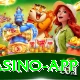 pkr67 Ultimate Casino App