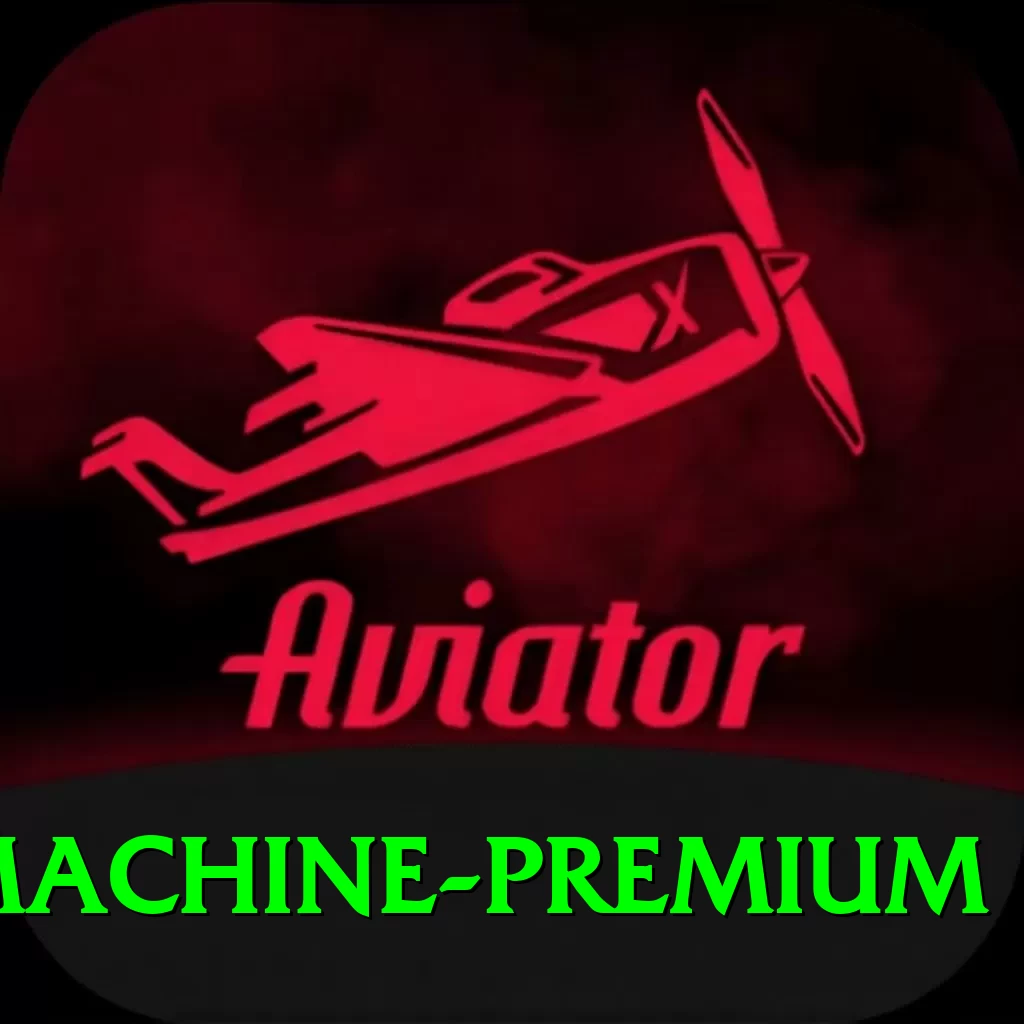 Winli Slots Slot Machine Premium - 2